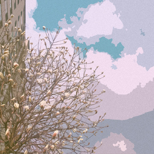 日韩视频免费一区三区
