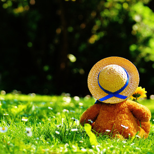 日韩视频免费一区三区
